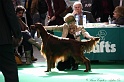 Crufts2011 413